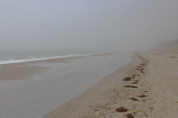 2_resize