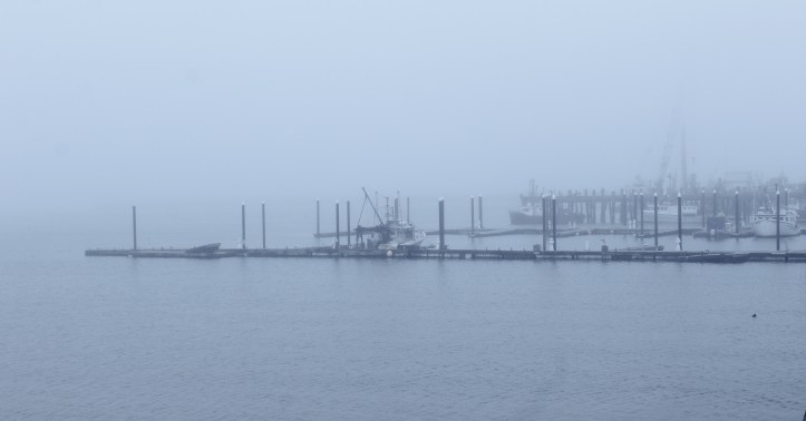 fog on the dock