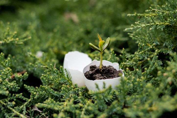 iStock-1132782380 (1)_resize.jpg